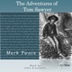 The Adventures of Tom Sawyer by Mark Twain - Chapters 33 to 35