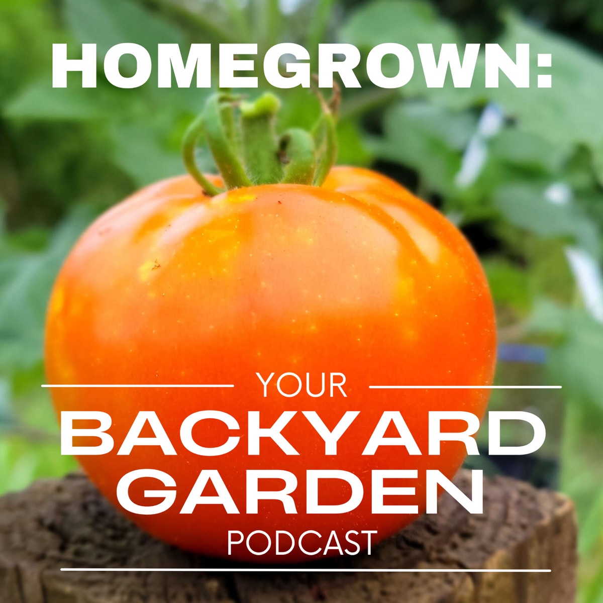 how-to-recover-from-a-bad-garden-year-homegrown-your-backyard-garden