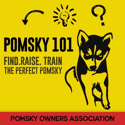 Pomsky 101 - Find. Train. Raise The Perfect Pomeranian Husky Dog. Pomsky 101 - Find. Train. Raise The Perfect Pomeranian Husky Dog.