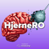 HjerneRO - Mindcamp