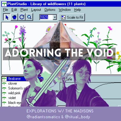 ADORNING THE VOID