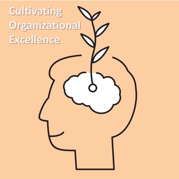 Cultivating Organizational Excellence Image