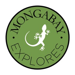 Mongabay Explores