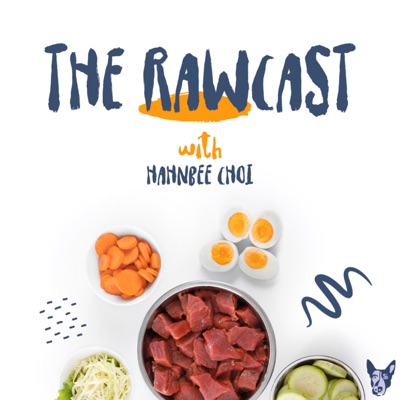 The Rawcast Podcast w/ Hahnbee Choi