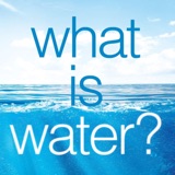 Book Review: What Is Water? How Young Leaders Can Thrive in an Uncertain World | Ep 80