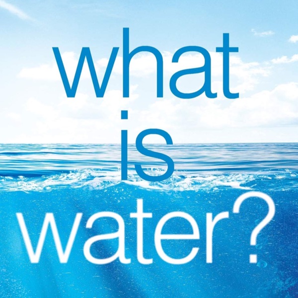 Book Review: What Is Water? How Young Leaders Can Thrive in an Uncertain World | Ep 80 photo