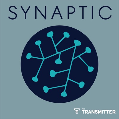 Synaptic Synaptic
