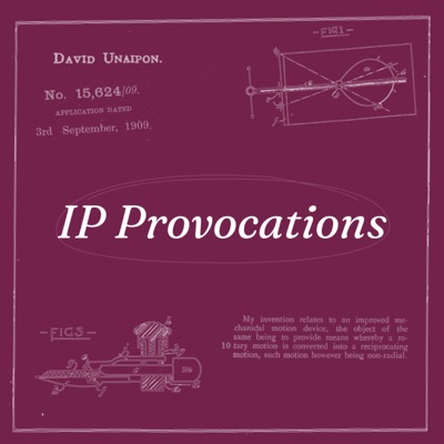 IP Provocations