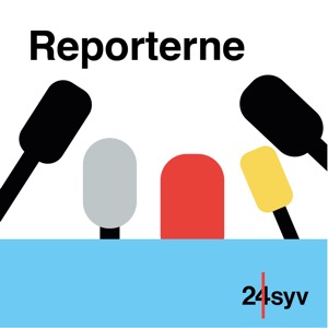 Reporterne