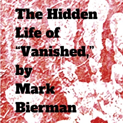 The Hidden Life of, “Vanished,” a novel by Mark Bierman photo