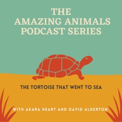 The Amazing Animals Podcast Series