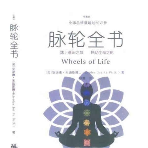 脉轮全书 I 健康疗愈 I 自我修复