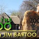 At the Zoo- April 22, 2024