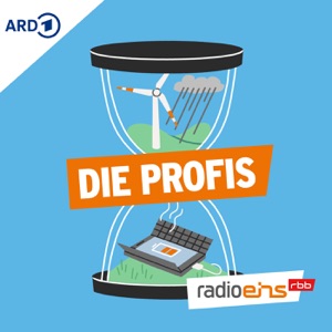 Die Profis