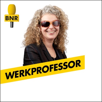 Werkprofessor | BNR Werkprofessor | BNR