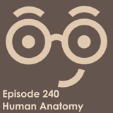 Human Anatomy Trivia