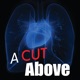 A Cut Above: Cardiothoracic insights from EACTS