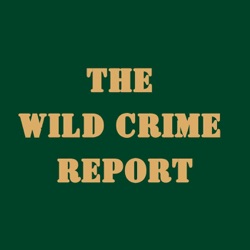 Welcome to the Wild Crime Report Podcast