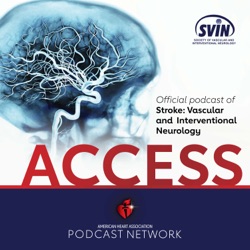 ACCESS S:VIN November 2023