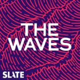 Bonus Episode from The Waves: The Golden Bachelor Recap: The 'D Word'