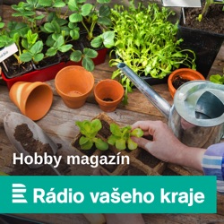 Zahradní traktůrek z velké jarní soutěže Českého rozhlasu už zná majitele! Putuje do Koutů