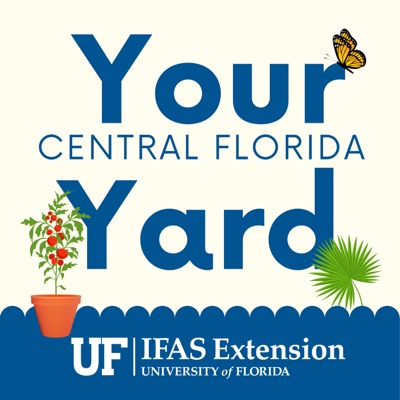 Your Central Florida Yard Your Central Florida Yard