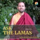 Ask the Lamas