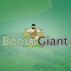 Bonus Giant