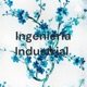 Ingeniería Industrial 