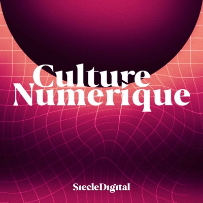 Culture Numérique:Siècle Digital