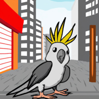 Urban Cockatiels Podcast podcast
