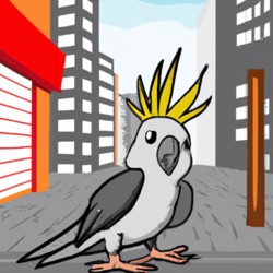 Urban Cockatiels Podcast