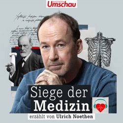 Wie Florence Nightingale die Krankenpflege revolutioniert hat