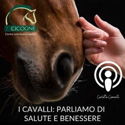 I cavalli: parliamo di salute e benessere