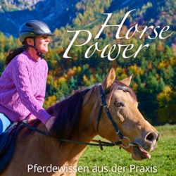 Horsepower - dein Podcast für Erfolg in der Pferdebranche 