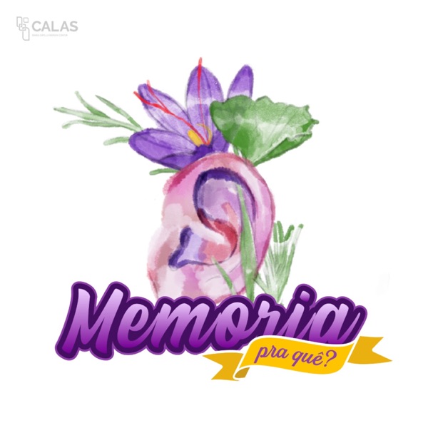 Memória Pra Quê?
