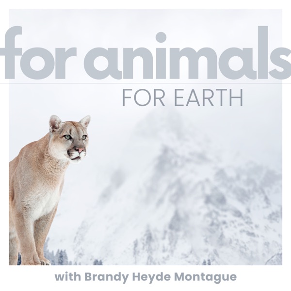 For Animals For Earth - Simple ideas to make a difference