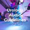 Urology Audio Guidelines - Nicolas Seranio, MD