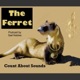 The Ferret