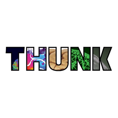 THUNK THUNK
