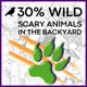 Introducing 30% Wild: Scary Animals in the Backyard