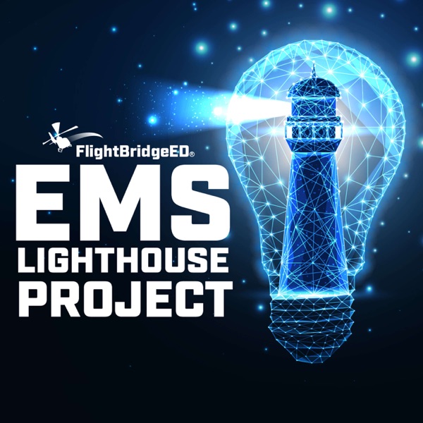 The EMS Lighthouse Project Image