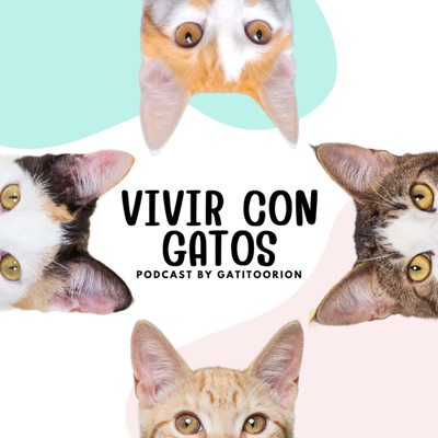 Vivir con Gatos:Gatito Orión