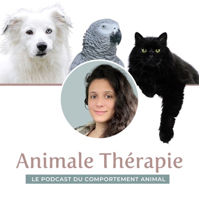 Animale Therapie Animale Therapie