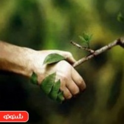 از سالِ شیرین تا زلزله تلخ