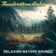 Steady Rain - 10 Hours for Sleep, Meditation, & Relaxation