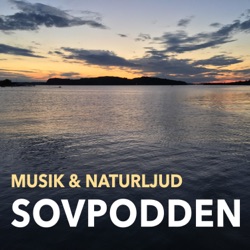 Sovpodden