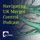 Navigating UK Merger Control