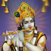 Bhagavad Gita - Prasanth Kallay