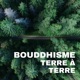 Bouddhisme terre à terre